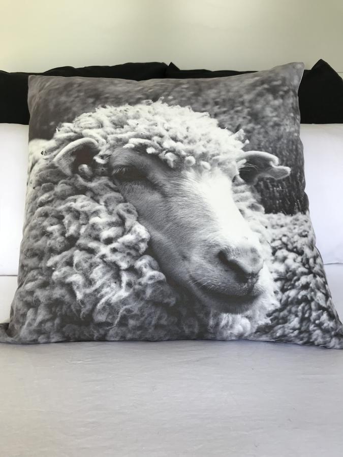 Bed and Breakfast 40 Winks Otorohanga Exterior foto